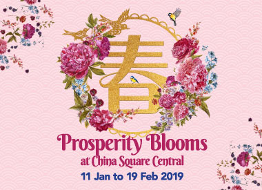 Prosperity Blooms at China Square Central