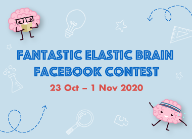Fantastic Elastic Brain Facebook Contest