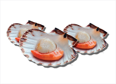 33% off Frozen Half-Shell Scallop with Roe
