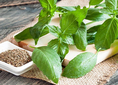 10 Ways to Use Basil, The King of Herbs